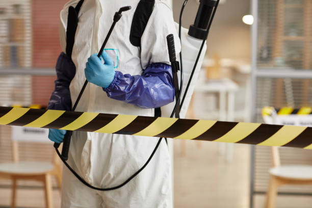 Professional Sewage Cleanup technician working in Sargent, NE